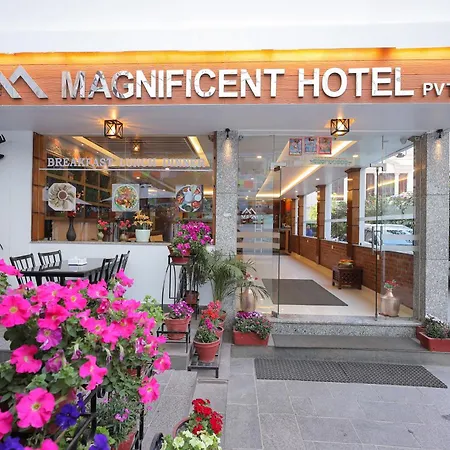 Magnificent Hotel - Next To Garden Of Dreams