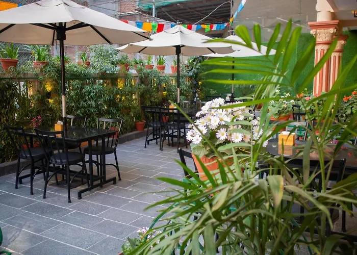 Magnificent Hotel 3*
