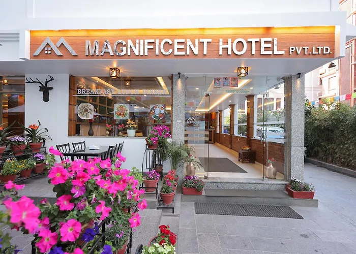 Magnificent Hotel 3*